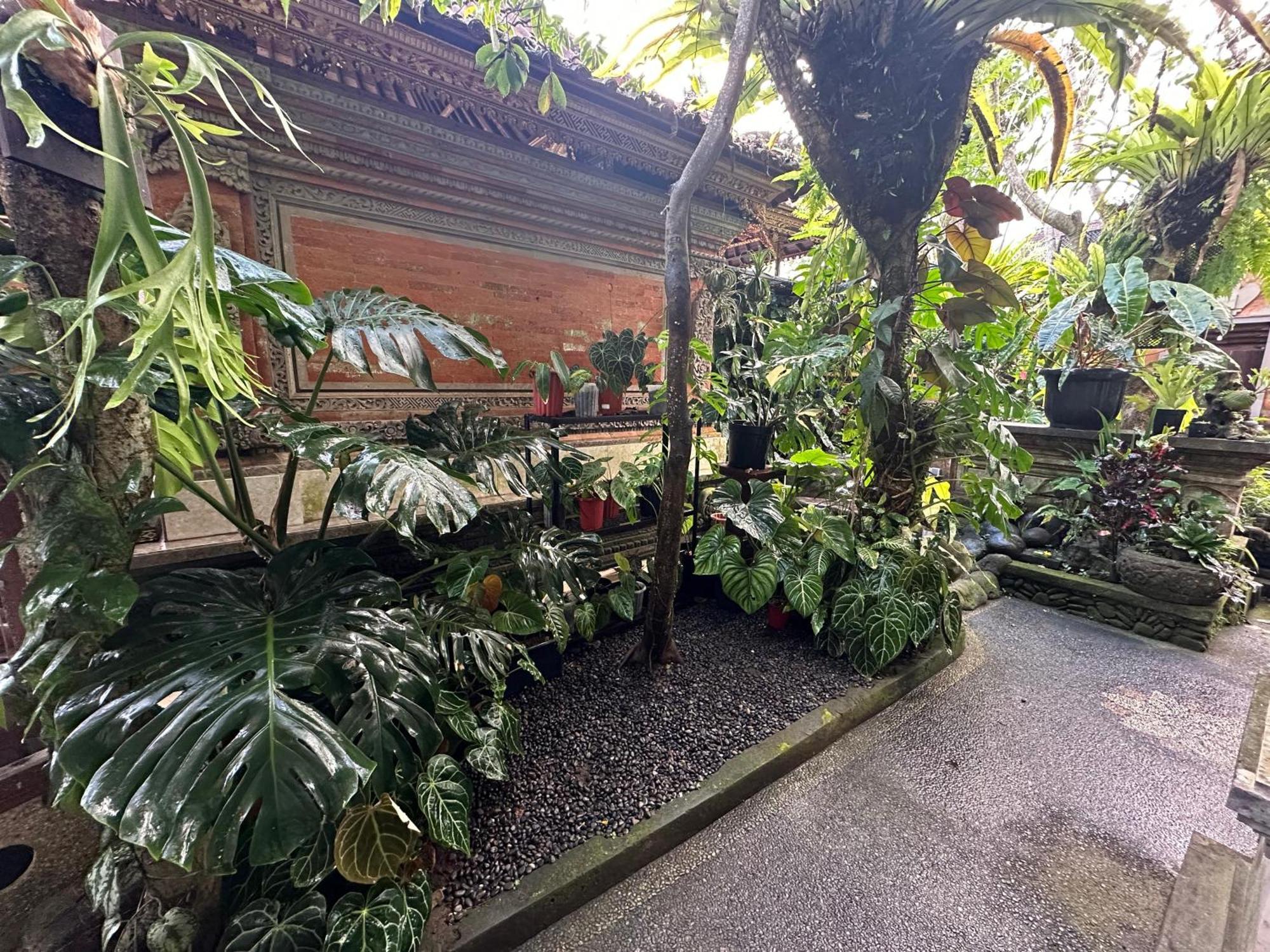 Naeera Guest House Ubud Extérieur photo