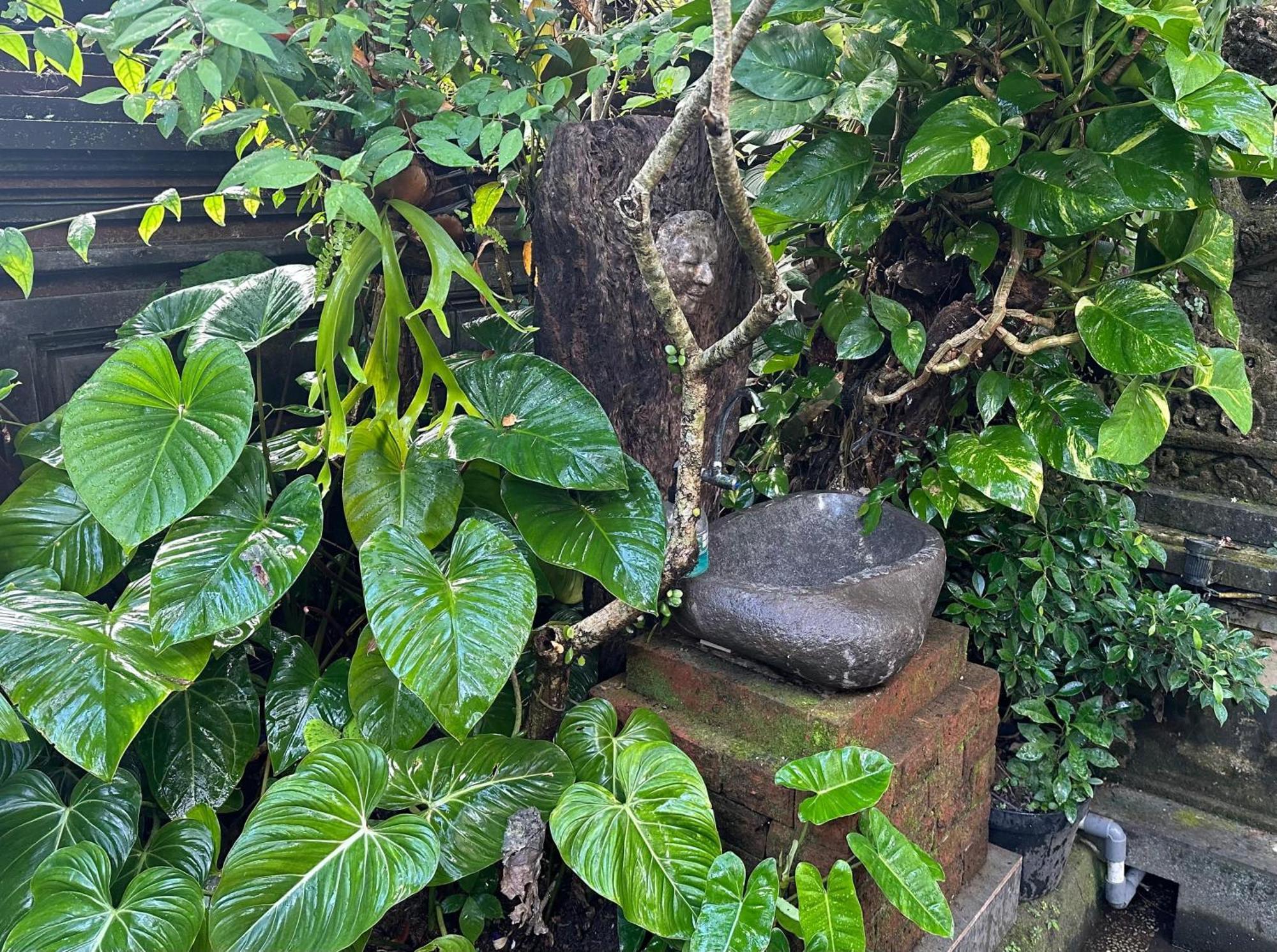 Naeera Guest House Ubud Extérieur photo