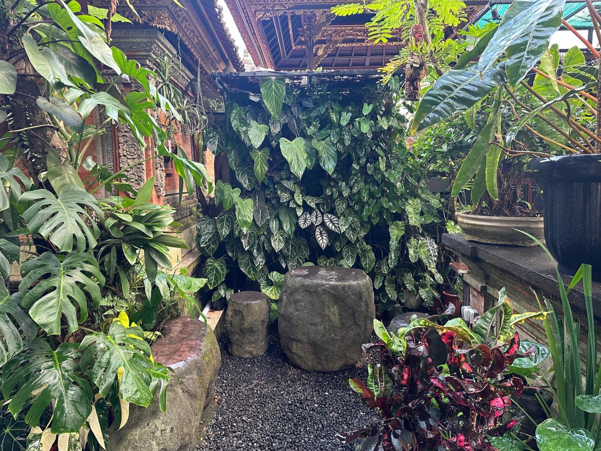 Naeera Guest House Ubud Extérieur photo