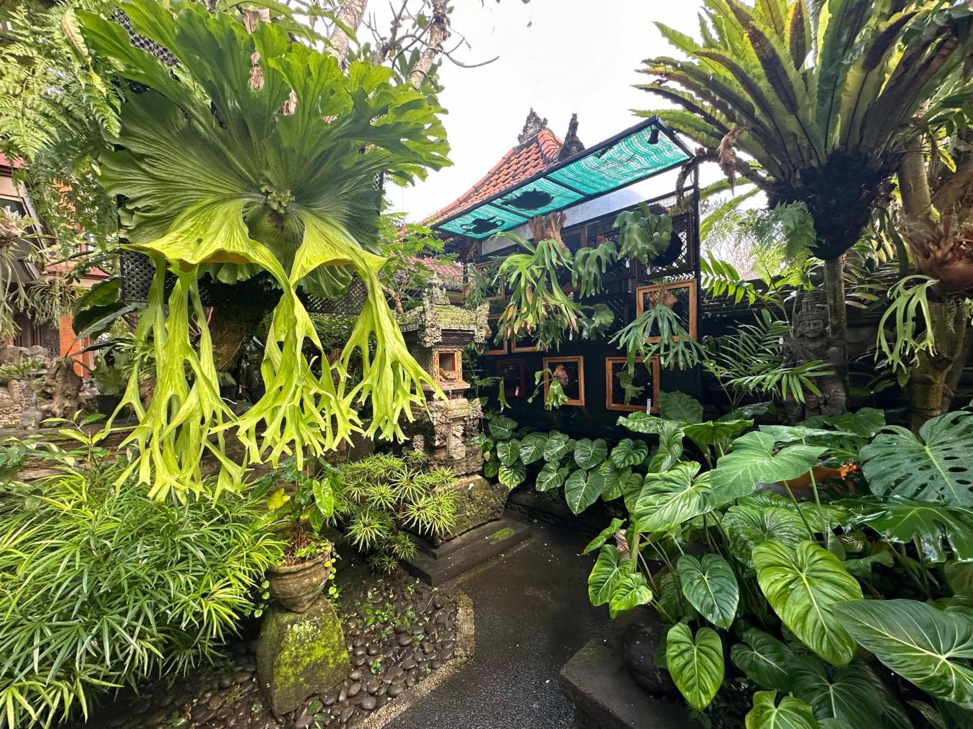 Naeera Guest House Ubud Extérieur photo